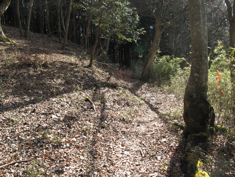 20161216hike (307)